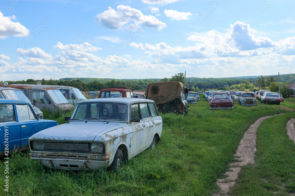 Vintage car cemetery in a field under blue sky with clouds