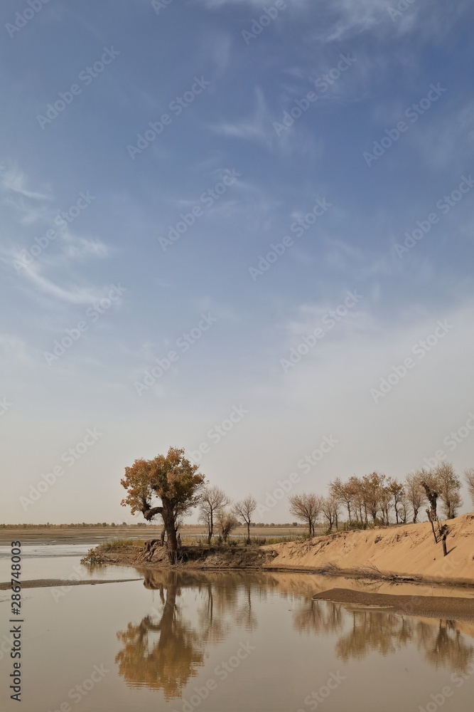 Keriya River flowing N.into the TaklaMakan desert. Xinjiang Uyghur Region-China-0330 Keriya River flowing N.into the TaklaMakan desert. Xinjiang Uyghur Region-China-0330