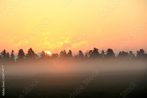dawn, fog © Alexandr