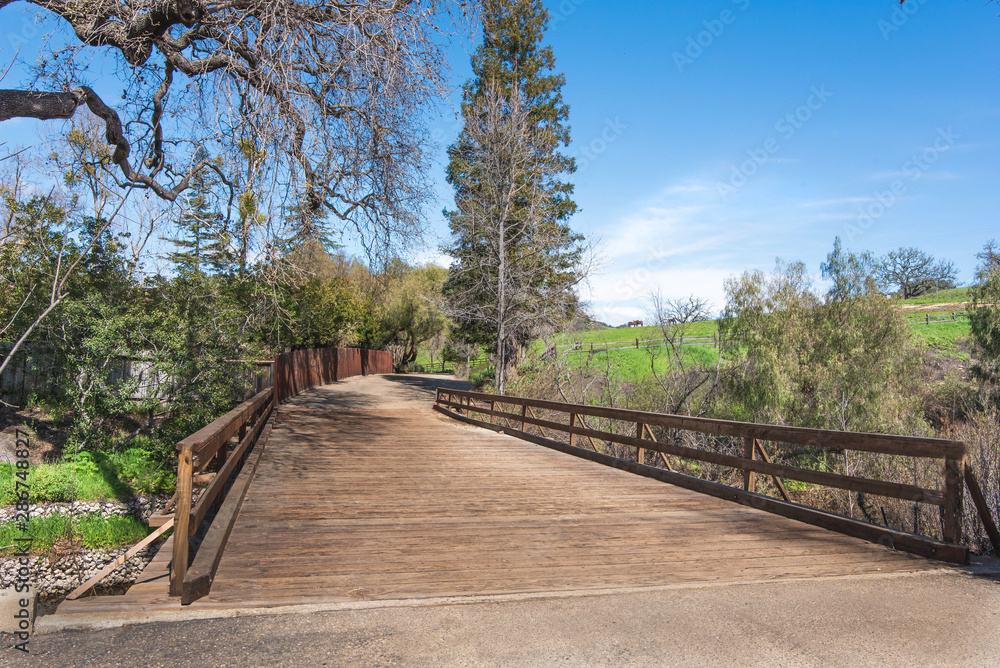 wooden bridge in the forest wooden bridge in the forest