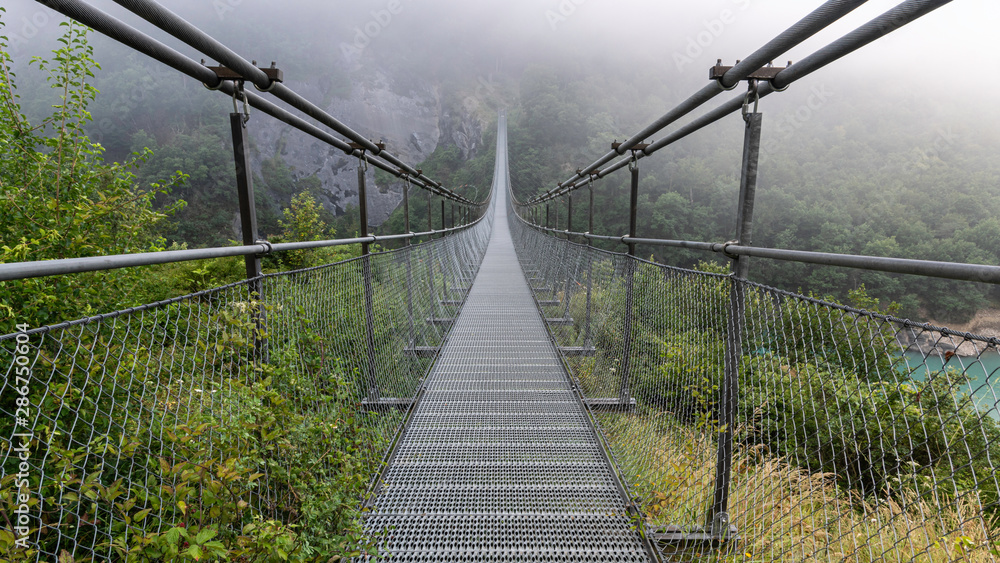 Passerelle du Monteynard. Passerelle du Monteynard.