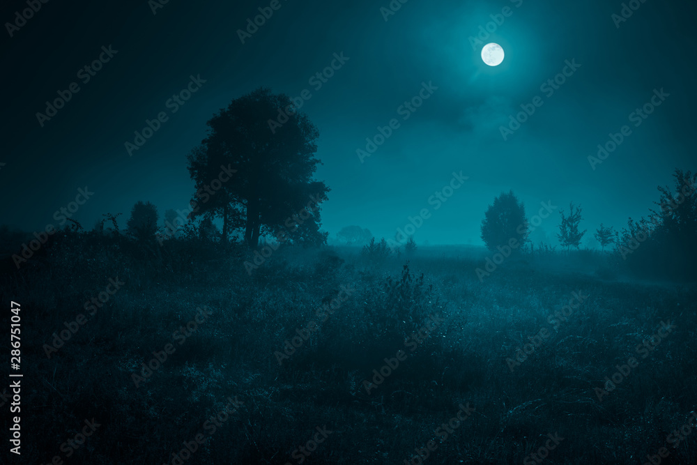 Night mysterious landscape in cold tones - silhouettes of the trees under the full moon on dramatic night sky. Night mysterious landscape in cold tones - silhouettes of the trees under the full moon on dramatic night sky.