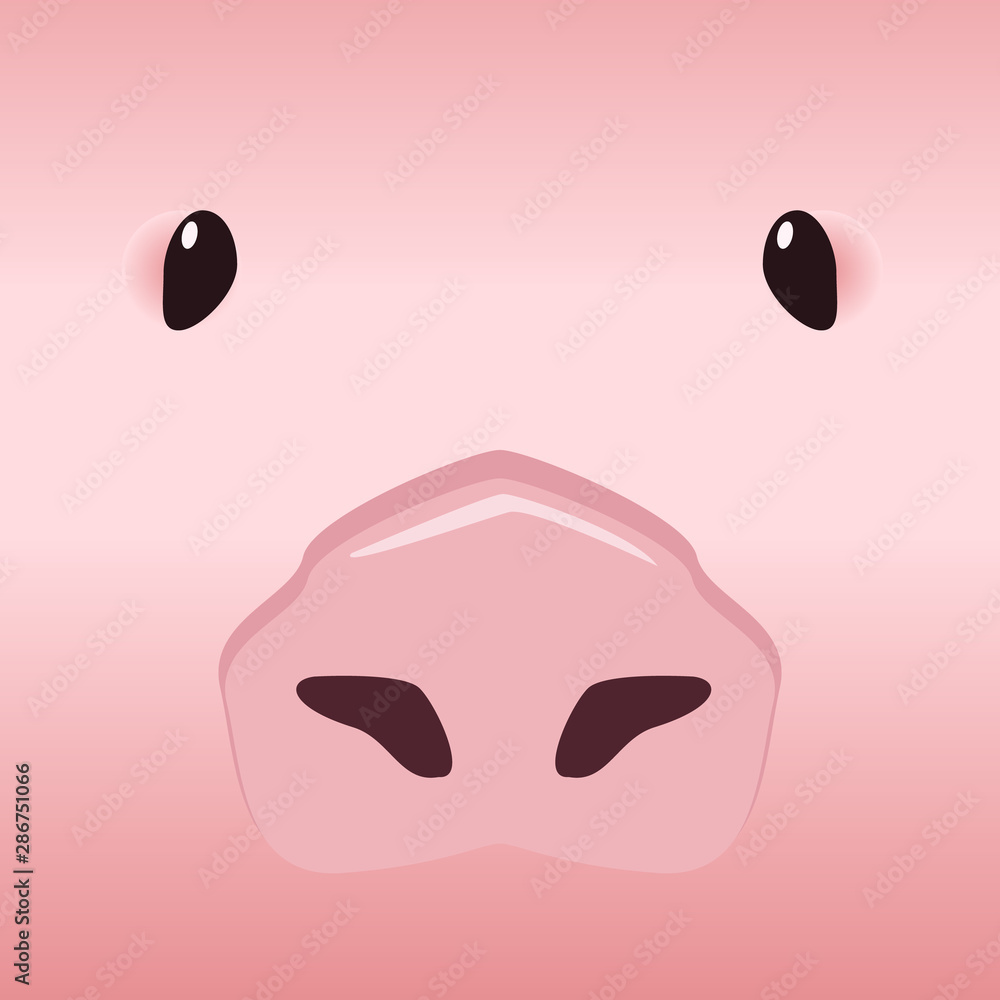 Vector illustration of pig face Vector illustration of pig face