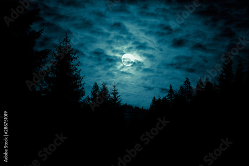 Night mysterious landscape in cold tones - silhouettes of forest trees under the full moon through the clouds on dramatic night sky. © stone36