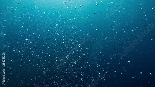 Wallpaper Mural Bubbles in water Torontodigital.ca