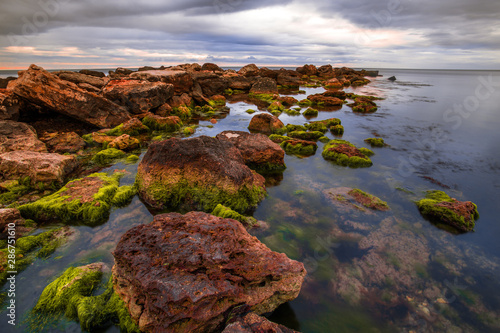 scenic sea landscape  wonderful bulgarian rock coast  stones and algae in water at morning dawn light  spectacular nature sunrise seascape 