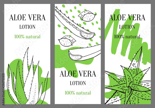 Three vertical banners template with aloe vera plants. Hand drawn sketch vector illustration with green stains on white background