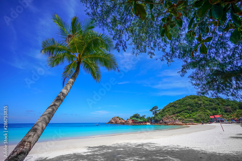 Coconut tree and beautiful blue beach at Redang Island, Malaysia photo