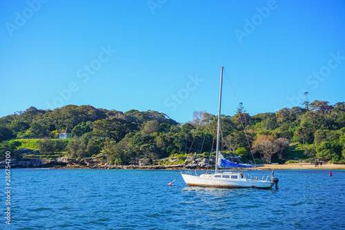 Boats on Sydney Harbour with blue skies