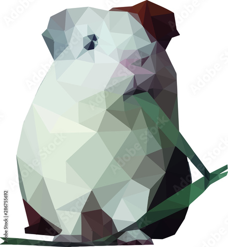 Guinea pig Poster