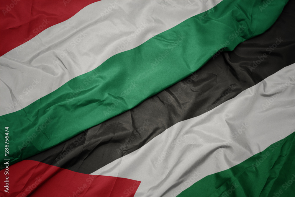 Obraz premium waving colorful flag of palestine and national flag of hungary.