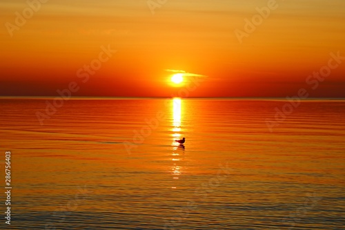 Fototapeta Naklejka Na Ścianę i Meble -  Colorful and unusually bright colors sunset in calm weather of the sea bay