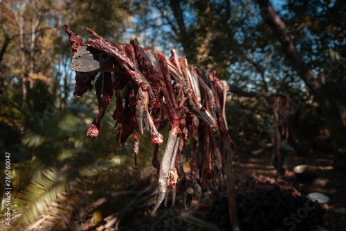 Drying bush meat from a hunted sitatunga photo