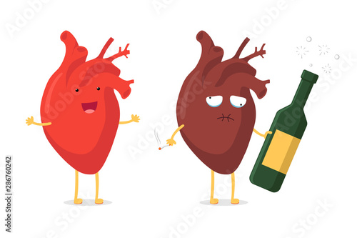 Sad unhealthy sick heart with alcohol bottle and smoking cigarette and strong healthy happy cartoon character. Vector cartoon mascot comparison illustration