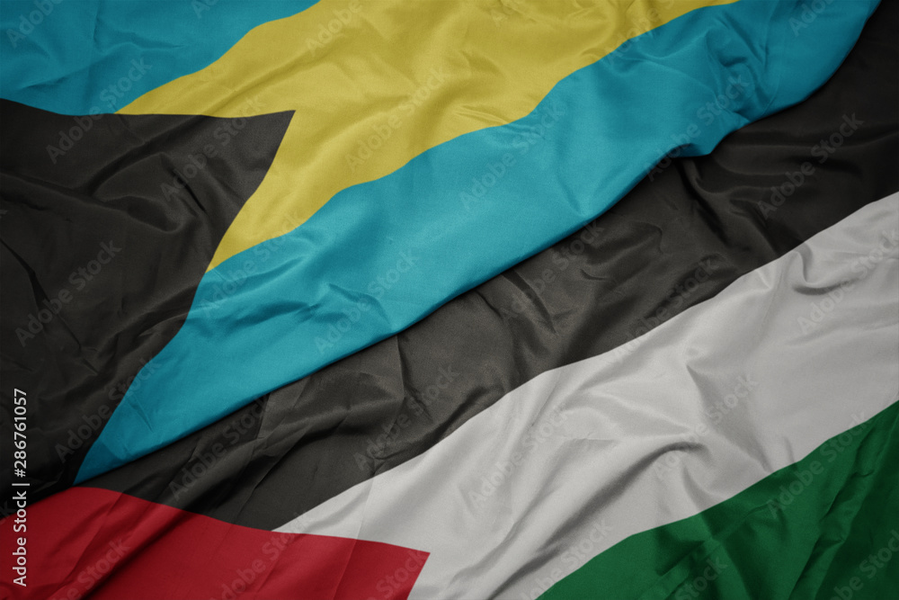 waving colorful flag of palestine and national flag of bahamas. waving colorful flag of palestine and national flag of bahamas.