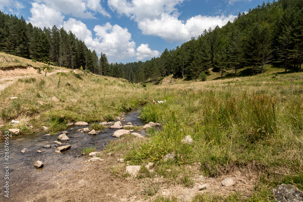 Ruscello in montagna