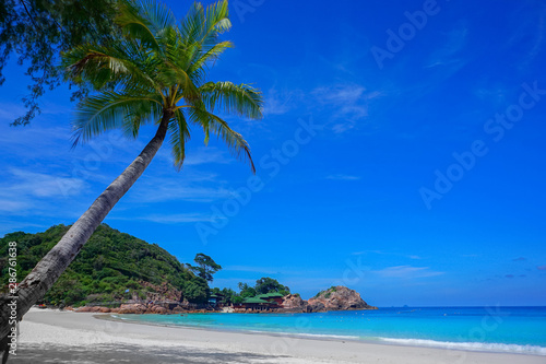 Coconut tree and beautiful blue beach at Redang Island, Malaysia