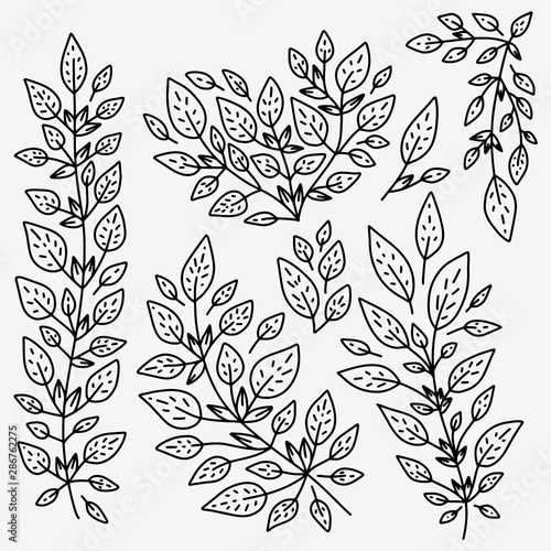 Set of Doodle Vector Leaves and Floral Elements for Stickers, Backgrounds, Patterns on clothes, backpacks and other.
