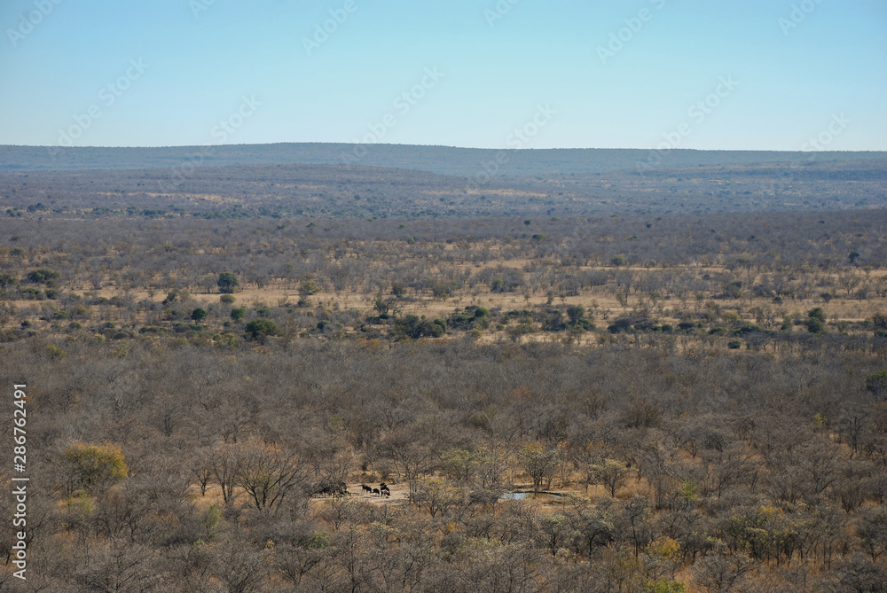 The remote landscape of the Waterberg in Limpopo Province, South Africa