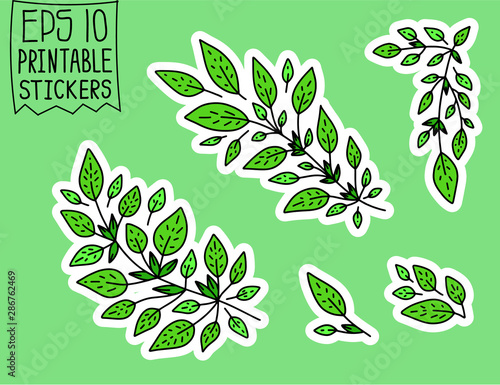 Set of Doodle Vector Leaves and Floral Elements for Stickers, Backgrounds, Patterns on clothes, backpacks and other.