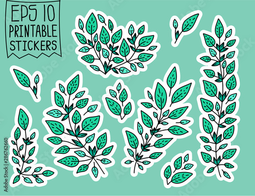 Set of Doodle Vector Leaves and Floral Elements for Stickers, Backgrounds, Patterns on clothes, backpacks and other.