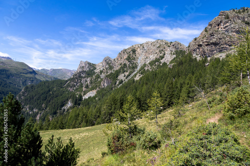Fototapeta Naklejka Na Ścianę i Meble -  Valle in montagna