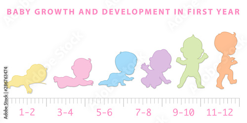Baby growth from newborn to toddler scale.