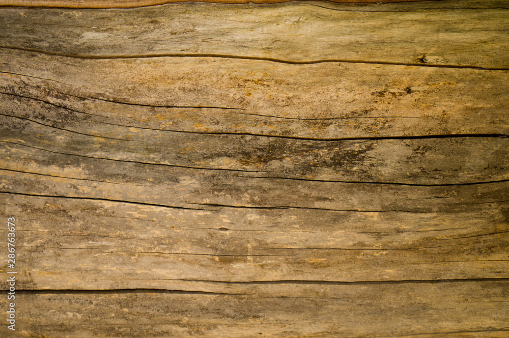 Wood texture. The texture of the wooden surface. Texture old wood. Wood texture. The texture of the wooden surface. Texture old wood.
