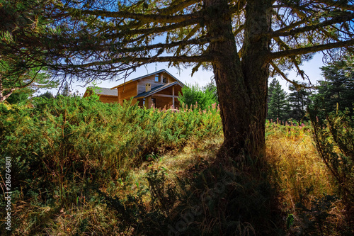 house in the forest
