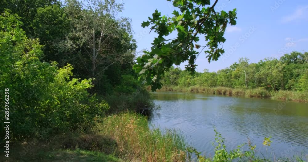 Landscape of water and green forest. Nature background. River in Europe Landscape of water and green forest. Nature background. River in Europe
