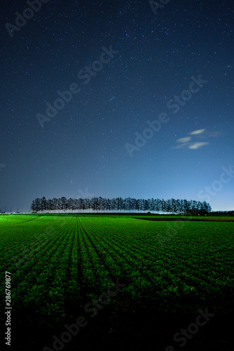 夜空と畑
