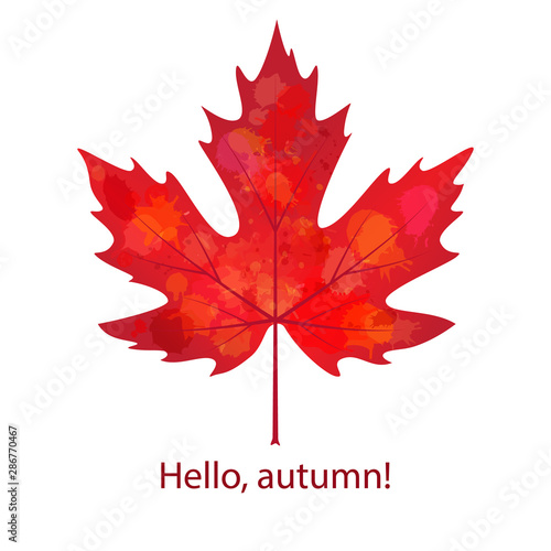 illustration of vector maple leaf in grunge style