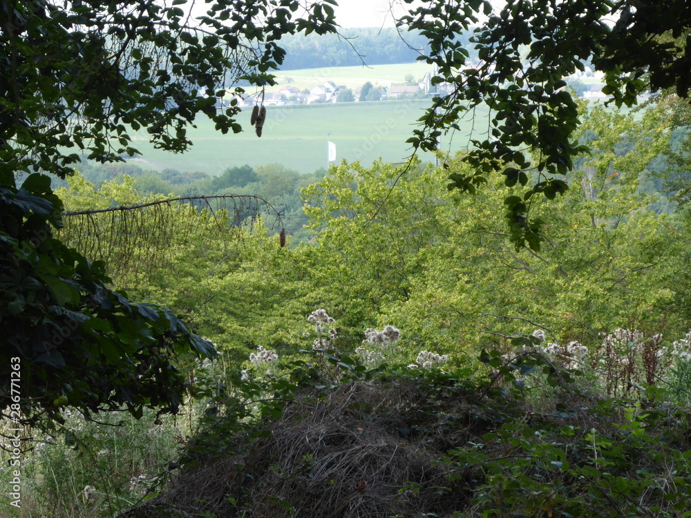 Fernsicht (Lehmjöresweg in Stolberg-Vicht) Fernsicht (Lehmjöresweg in Stolberg-Vicht)