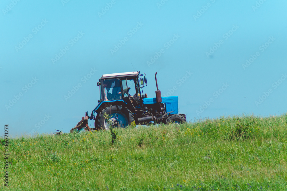 Naklejka premium Blue tractor rides on the field against the blue sky and green grass.Beautiful scenery.