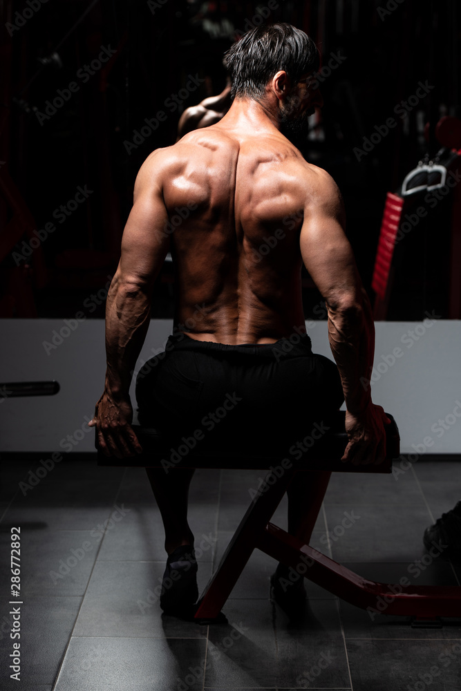 Back double bicep pose of male bodybuilder Stock Photo | Adobe Stock