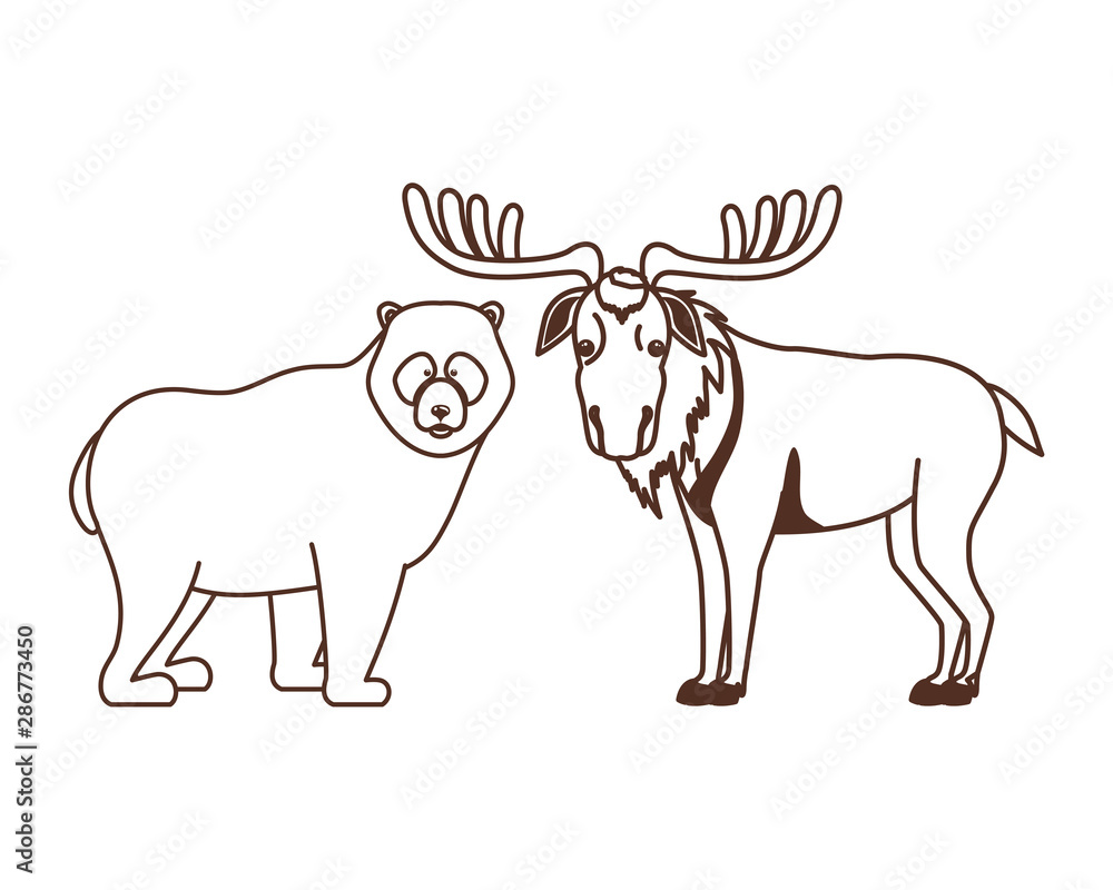 Isolated moose and bear animal design vector illustration
