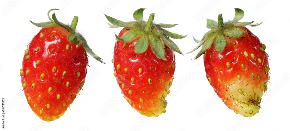 set of strawberry on white isolated background set of strawberry on white isolated background