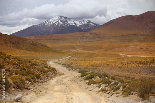 Dusty trail crossing the desert with orange vegetation, Curves and far away mountain with snow in the peaks. Bolivia Andes desert.