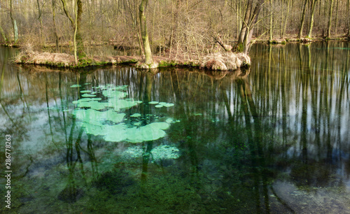 Famous blue springs (niebieskie zrodla) in Tomaszow Mazowiecki city - Poland