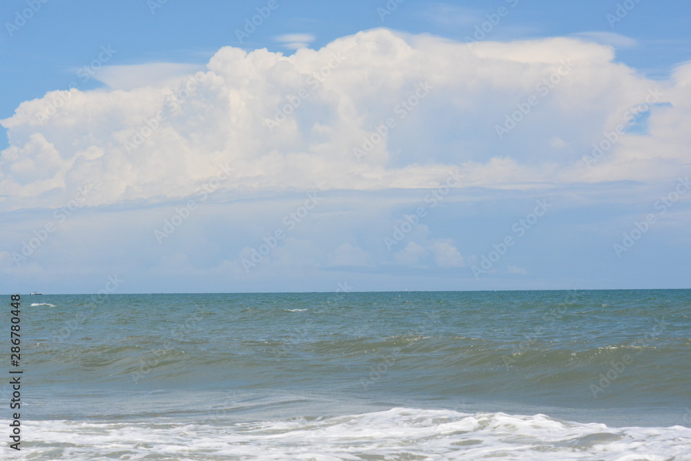Fototapeta premium Birds, Waves and fishing a Day on the Beach
