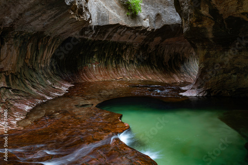 Emerald Pools of Subway Left Fork Trail Zion National Park Utah