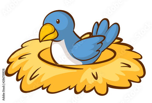 Blue bird in nest on white background