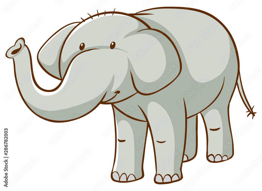 Fototapeta premium Gray elephant on white background