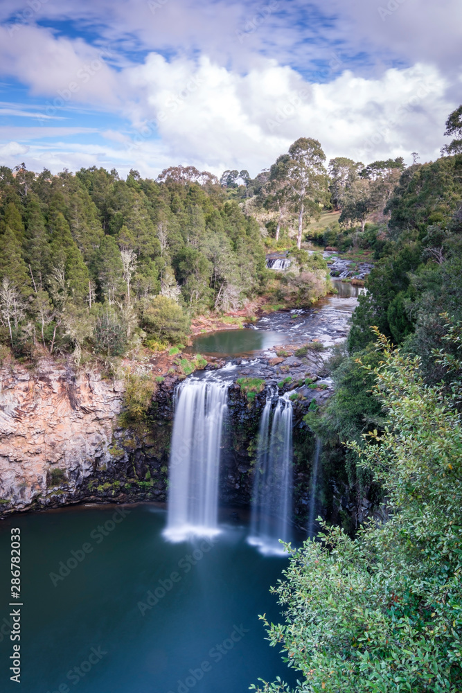 Fototapeta premium Dangar Falls waterfall way Coffs Harbour to Armidale new South Wales Australia