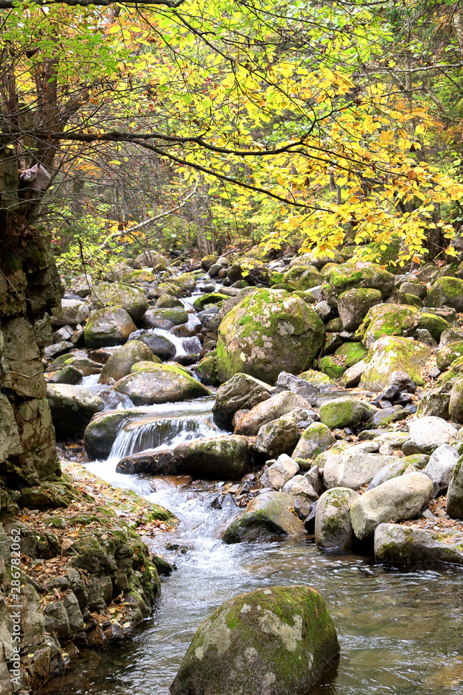 autumn colors on the river