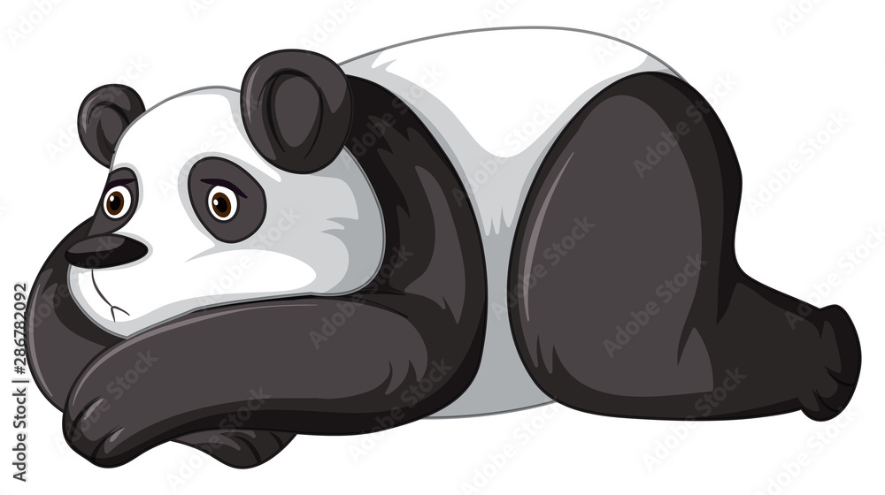 Sad panda on white background