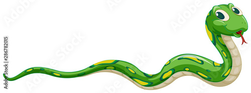 Obraz na plátně Green snake on white background
