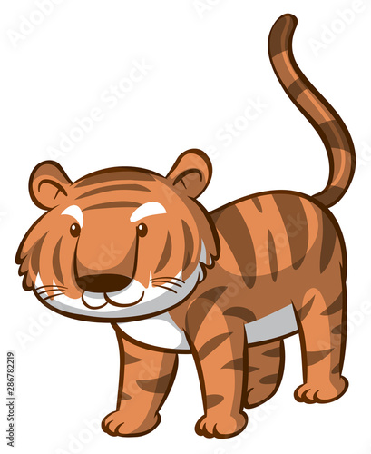 Cute tiger on white background