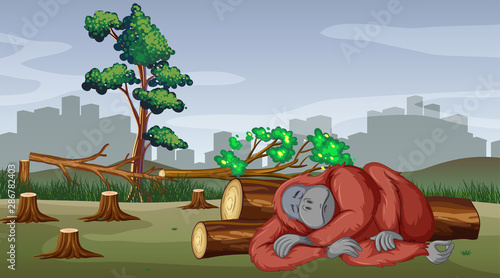 Deforestation scene with gorilla dying