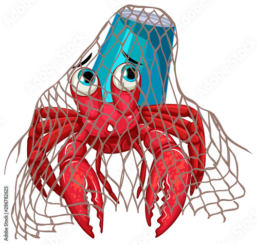 Hermit crab in net on white background